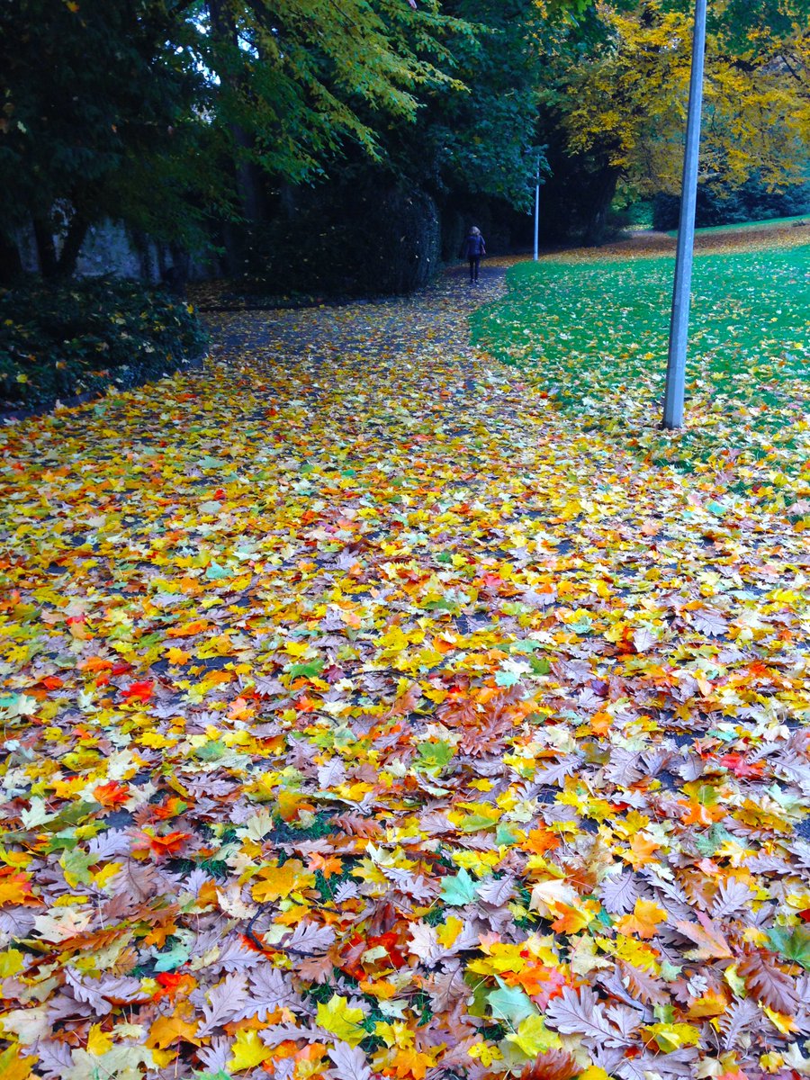 sunandadesh's tweet photo. Fall by lake #Geneva, captured last week! Terrorism cannot erase the beauty around us! #ParisAttacks #BeruitAttacks https://t.co/3jHwfOmHGp
