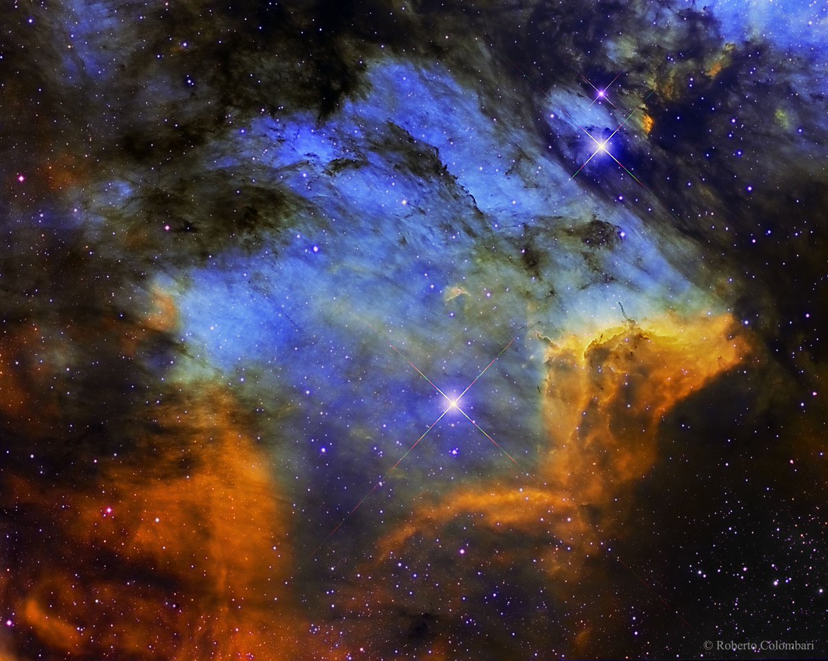 FreshCinco's tweet photo. Astronomy picture of the day, this is the Pelican Nebula in Gas, Dust, and Stars. #space #science #awesome https://t.co/xuz848Az4N