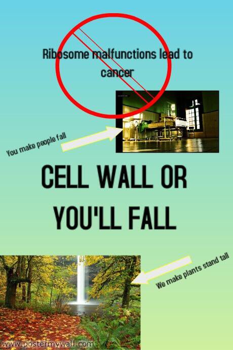 _thecellwall's tweet photo. @WHSBiologyLeDuc #leduc2 SEE. I TOLD YOU THAT THE CELL WALL WAS MOST IMPORTANT. https://t.co/aYS7oRCbR0