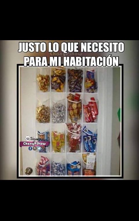 MiguelMonreal7's tweet photo. #MartesDeGanarSeguidores #MartesIntratable #pequenascosas #NecesitoUnPocoDe #SIGUEME #SiguemePrincipe #SomosSocios https://t.co/omQEssVIxK