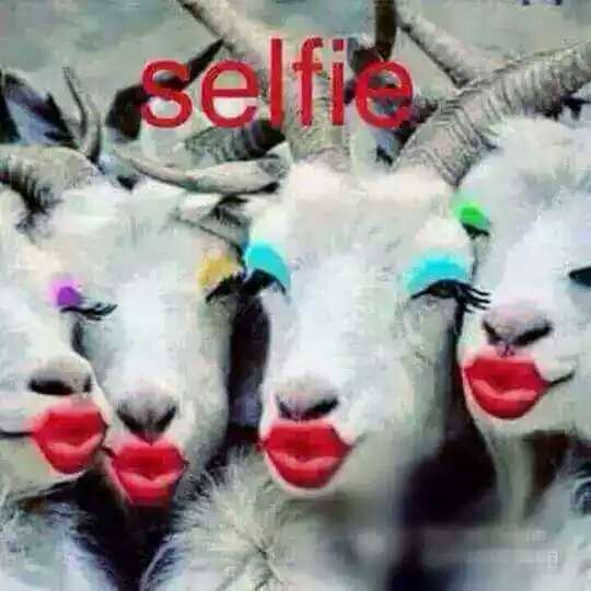 WAzorah tweet picture