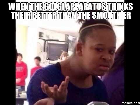 smoothastheER's tweet photo. Golgi u think ur better than us?We do all the work, ur just fedEx in a cell @WHSBiologyLeDuc #organellewars #leduc6 https://t.co/Zjs7obsU6v