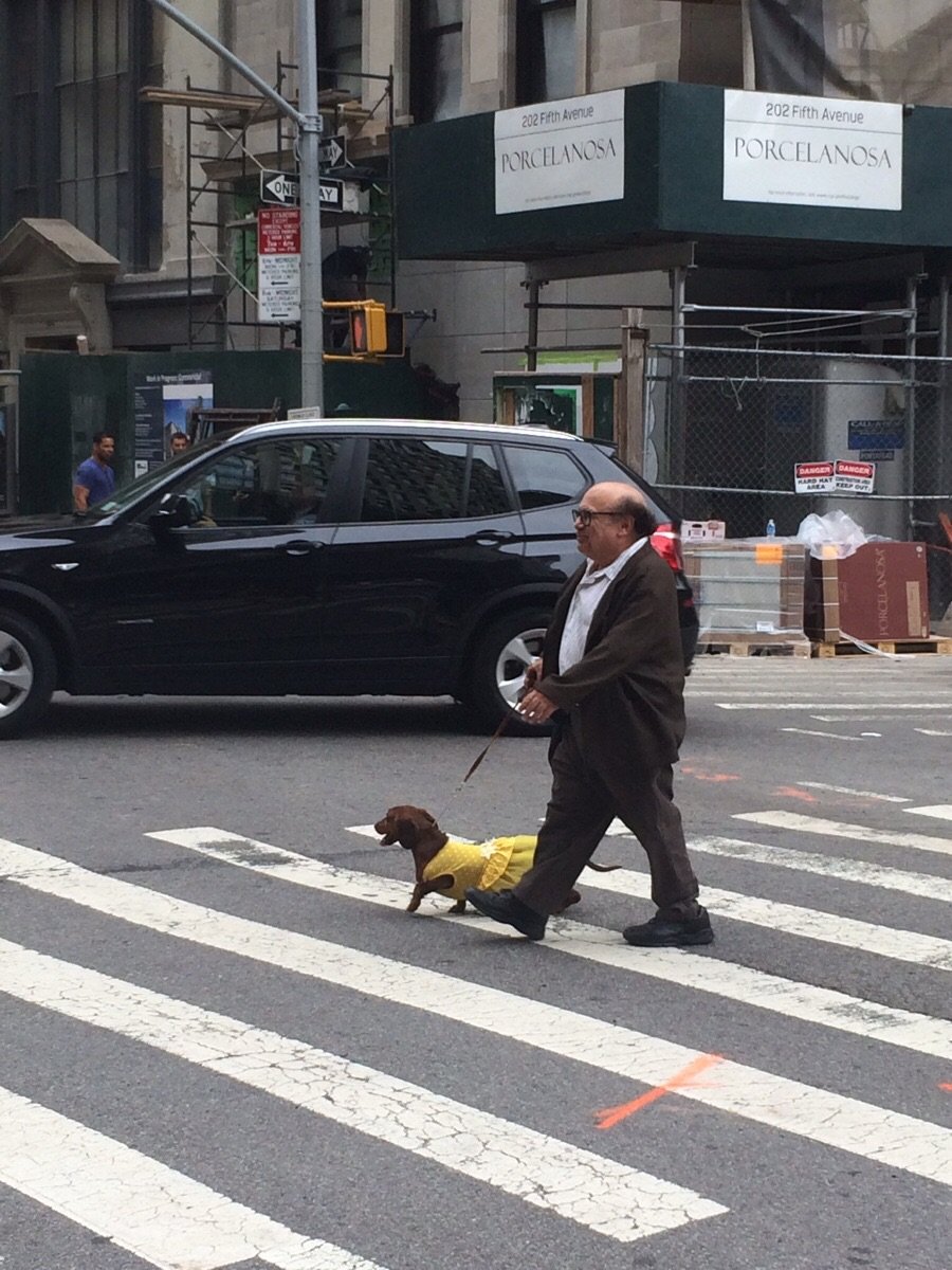 Happy birthday to Danny Devito 