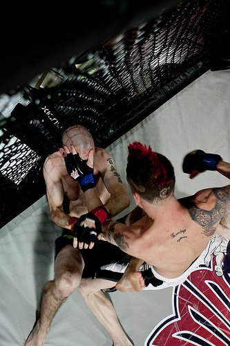 My best picture yet of me fighting! https://t.co/pyii9rMuRh