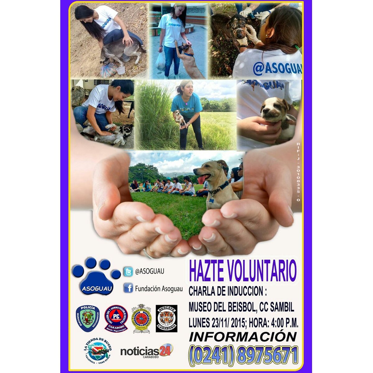 ASOGUAU's tweet photo. Este 23 de Noviembre #HazteVoluntario cc Sambil #Valencia 4:00pm Info:02418975671 @rescatecarabobo @VolcomTheBeagle https://t.co/TH2GYhaLSS