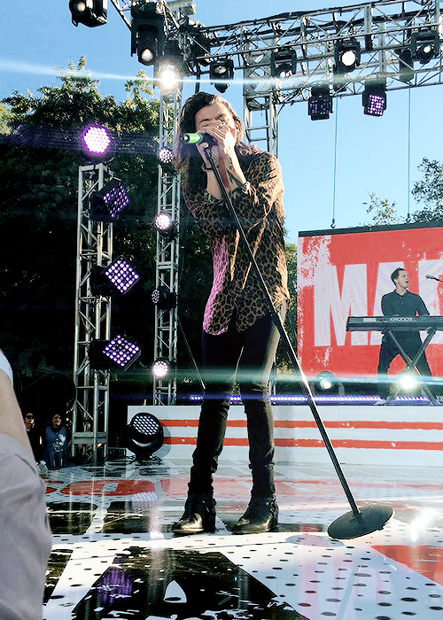 OneDirectionCa_'s tweet photo. harrehmadness:

Ellen 2015 • © otrataylor #1D #OneDirection https://t.co/2AlRChcu3E