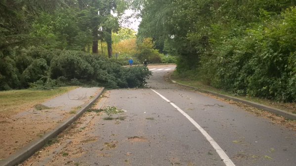 CBCAlerts's tweet photo. Winds up to 120 km/h recorded as storm surges in B.C: https://t.co/uiJ6YVPO5e (Photo: @ParkBoard) https://t.co/tJs9DJdpAm