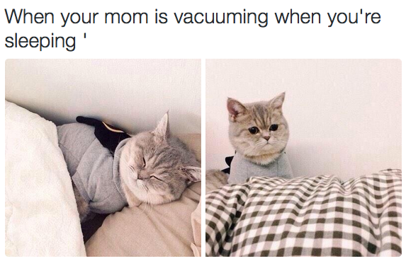 BuzzFeed tweet picture
