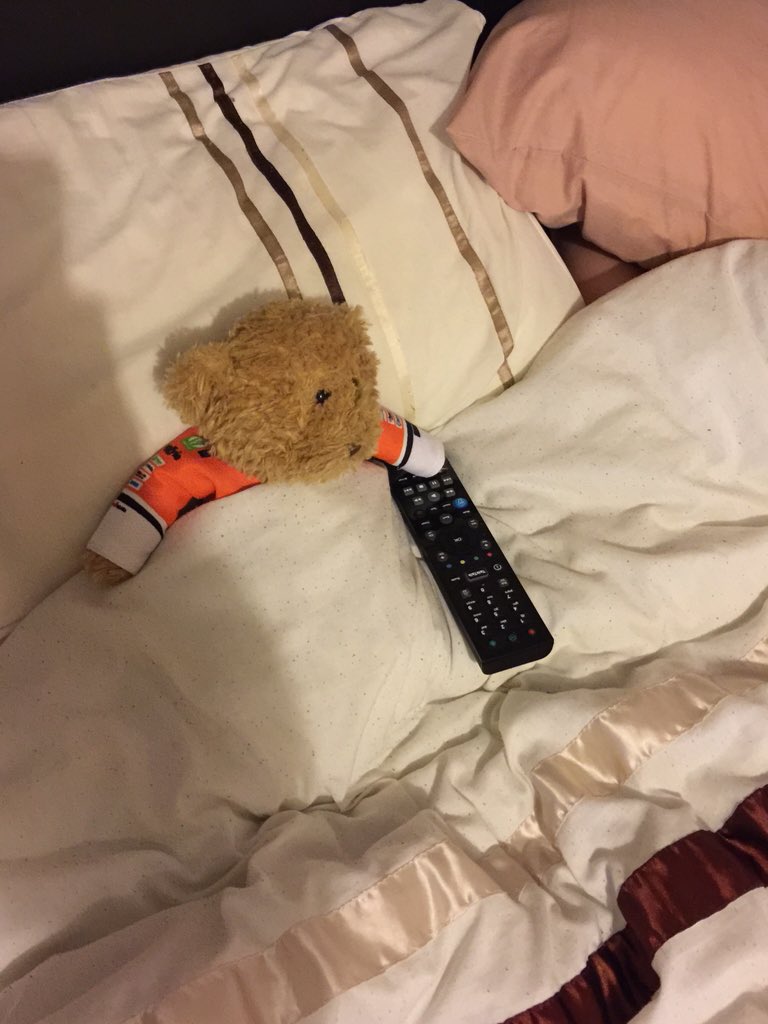 BearMozzy's tweet photo. While @tiffneee_x is asleep I get to watch telly https://t.co/DnzZi8ste2