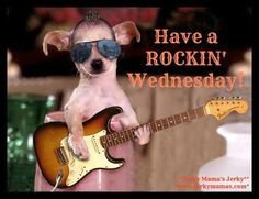IPPAmerica's tweet photo. #rocking #wednesday #cutedog #guitarist https://t.co/LADaXTqLO6