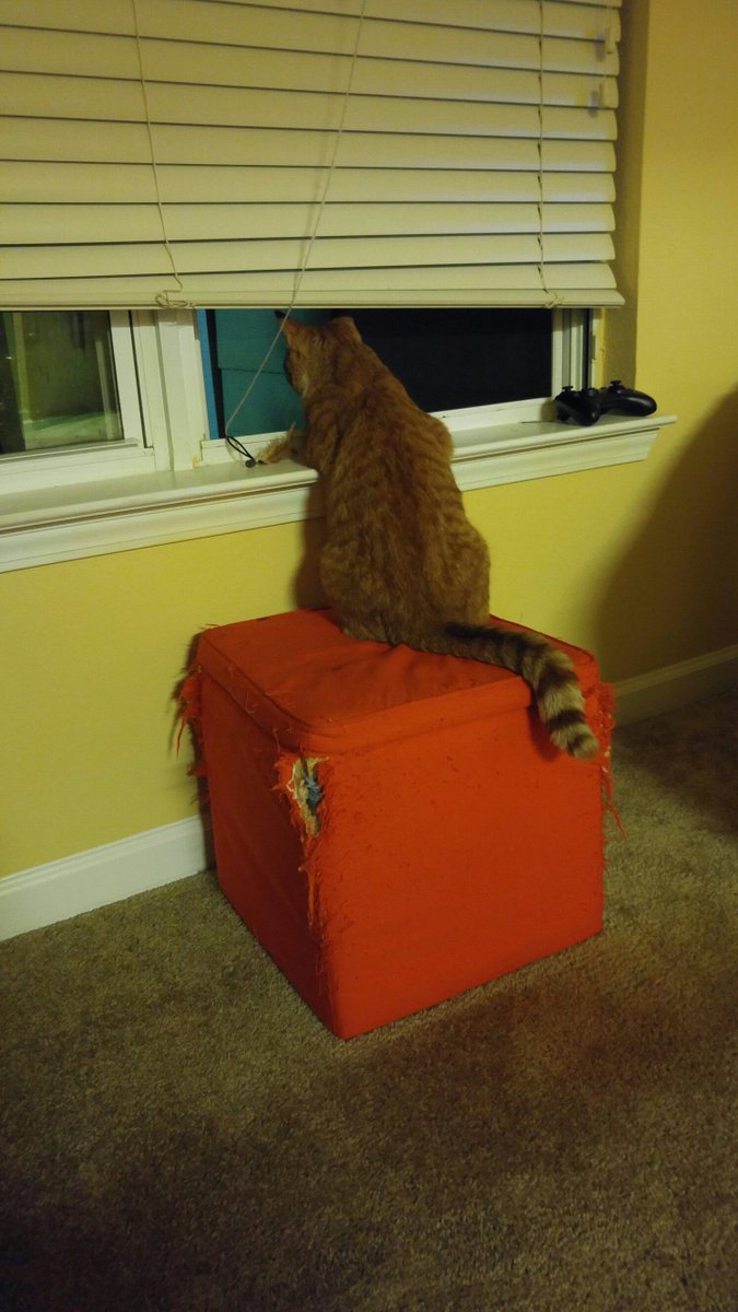 Mom is coming home!