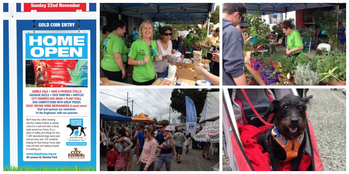 DogsRefugeHome's tweet photo. Looking for something to do this Sunday? Come and enjoy the many stalls at our Home Open! #PerthWeekends @tweetperth https://t.co/NA3dYmBMrN