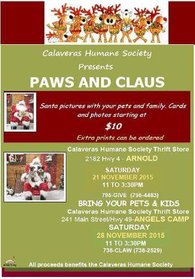 Santa is coming.  Get ready.  Bring your. Best buddy for a Christmas photo!