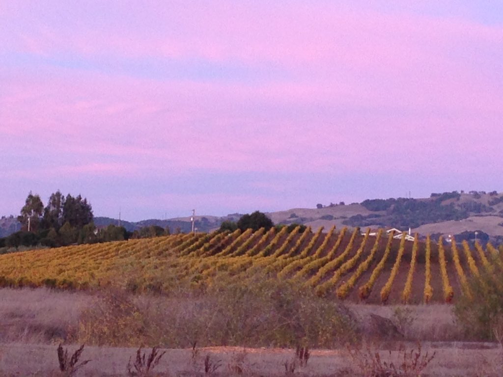 ms_escalante's tweet photo. #ourschoolview #petk12 @kjhskolts https://t.co/yXNdy7ZvW1