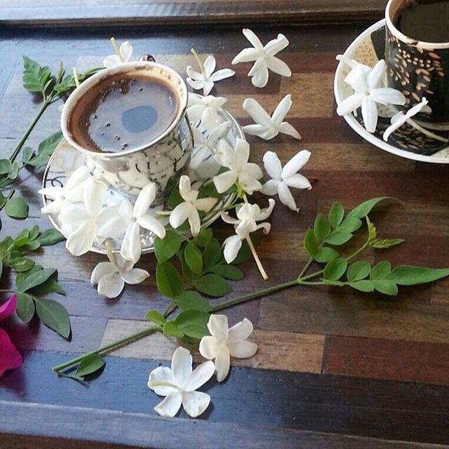 صباح الخير والمحبه