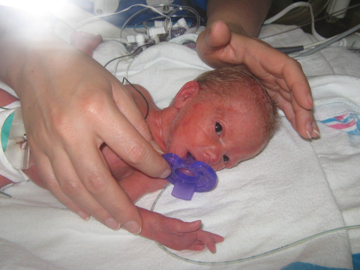 Volunteers4Humanity tweet media