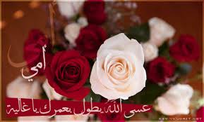 🌹تنهزم كل روائح العود والعطور عند رائحة ~>حظن
❤أمي❤جنة وراحةفي الشعور والإحساس♡،، جعلني ماافقدك في حياتي❤
💎بوووح♡
