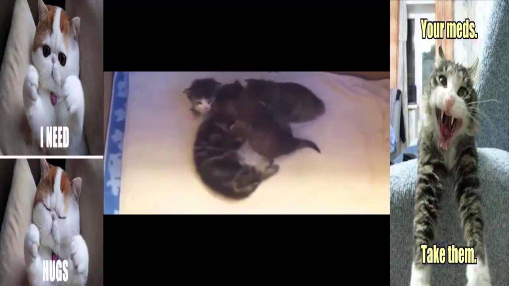ComeOnEngland21's tweet photo. #Funny Sport Fails ... - #FunnyCats #FunnyDogs #FunnyFail #FunnyFailCompilation - https://t.co/BLyZTpEyS8 https://t.co/89my9JhIed