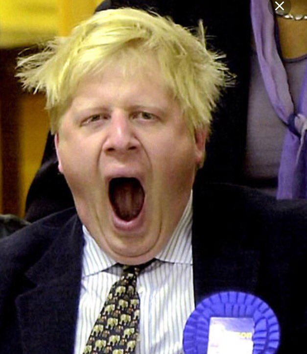 devilishlybrit's tweet image. Currently #tired #BorisJohnson #yawn