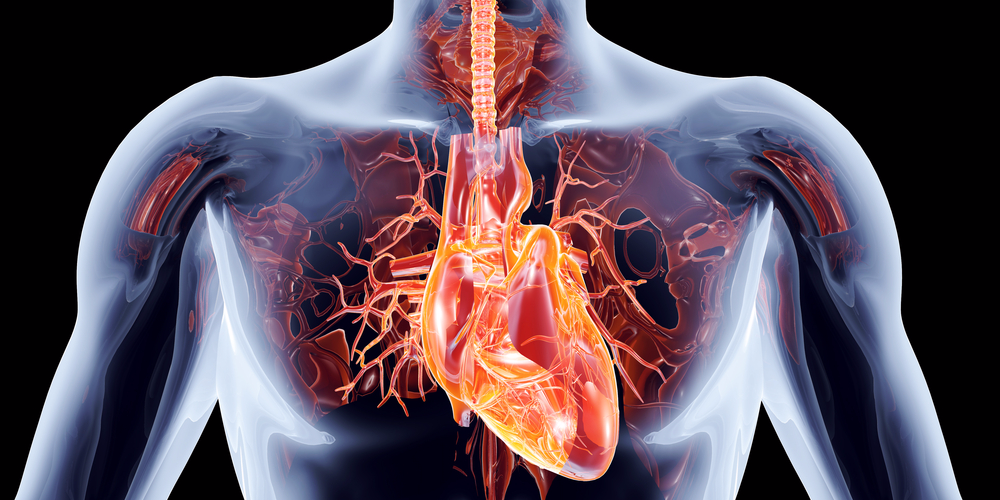 BusinessInsider's tweet photo. Google is investing in a $50M effort to cure heart disease https://t.co/qUmR3OAtfd https://t.co/tPecvXT2nD