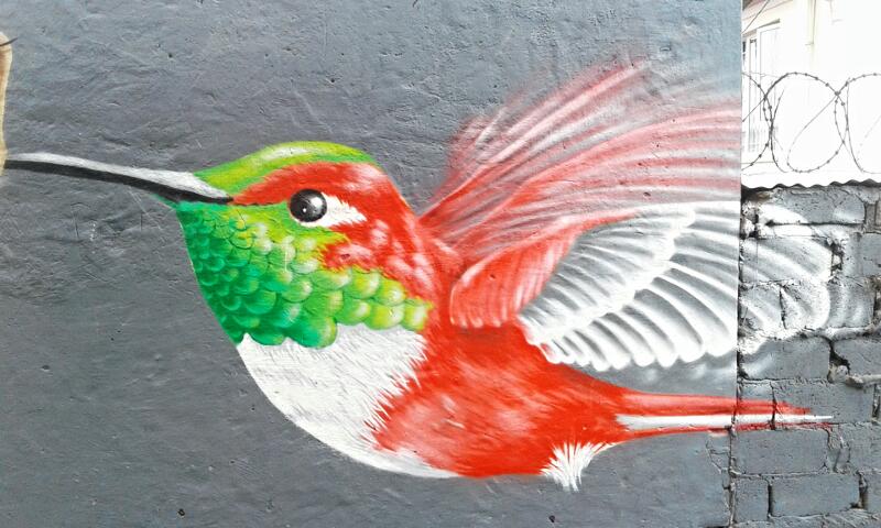 blessedelon's tweet photo. Happy Hummingbird life"...Spraypaint only..#birdlovers #GraffitiArtists #montanacans#4givn https://t.co/DU9TITAf7f