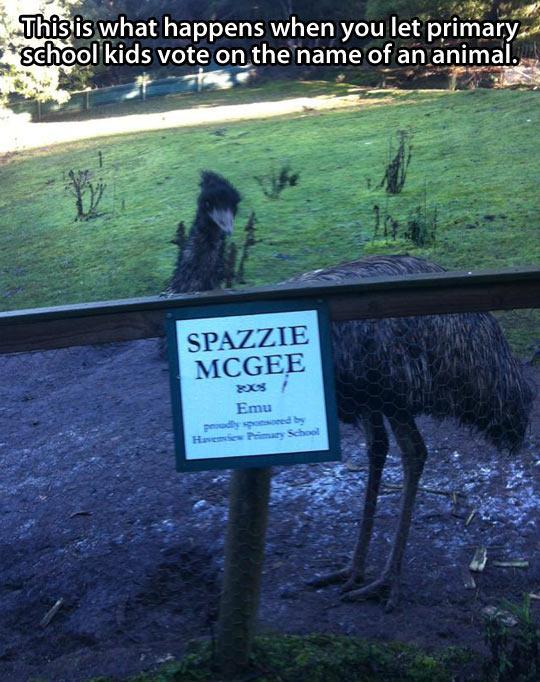 GiveMeInternet's tweet photo. When you let kids name an animal... https://t.co/U5UfOG8eBy