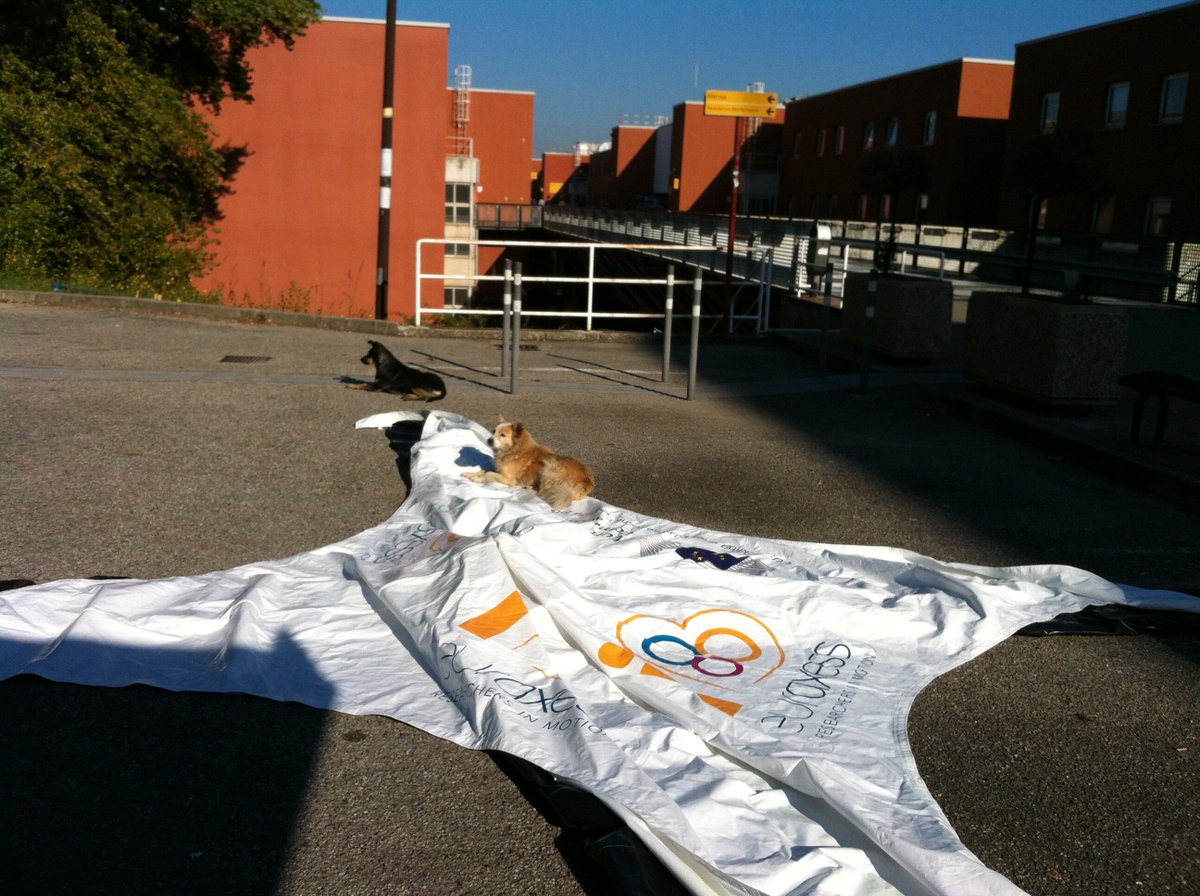 EURAXESS_ontour's tweet photo. We just arrived in #Cosenza at the #University_of_Calabria &amp; already made a new friend! #EURAXESS #research #EU4jobs https://t.co/gsG1jlD7r5
