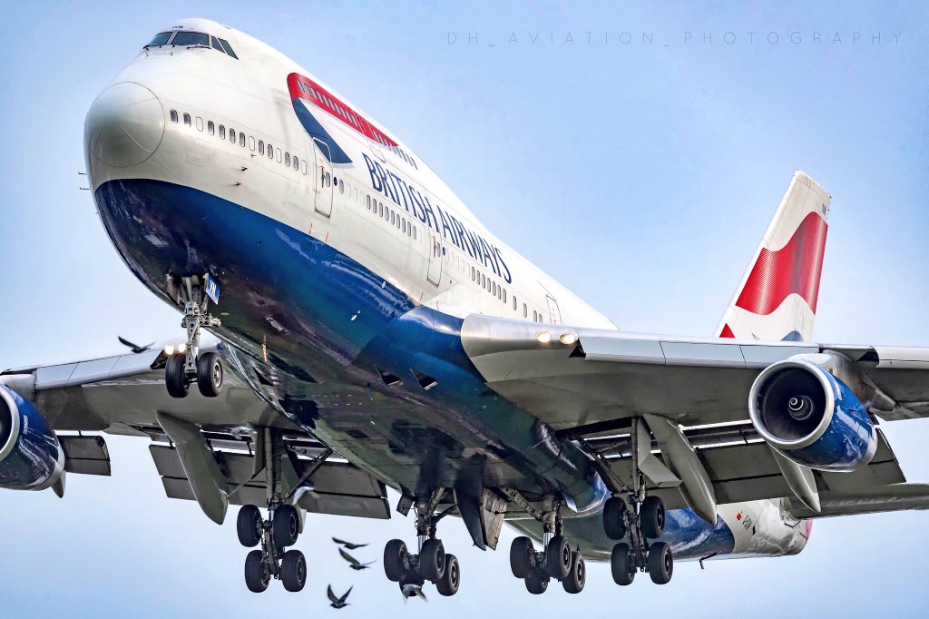 @British_Airways #747 at London Heathrow being greeted by some brave birds. #avgeek #aviation #747lovers