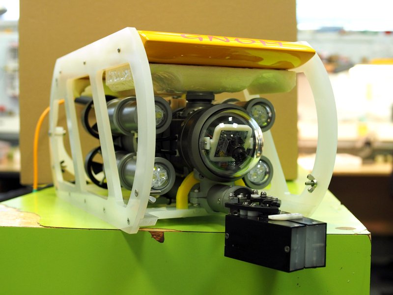 GNOM ROV (@ROVGNOM) | Twitter