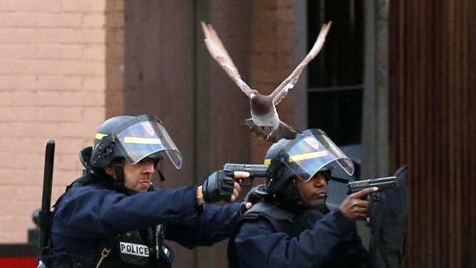 MiguelMorenatti's tweet photo. El fotón de esta mañana en el asalto de #Santdenis
Photo by Francois Mori/Ap https://t.co/QoE9x3TWfu
