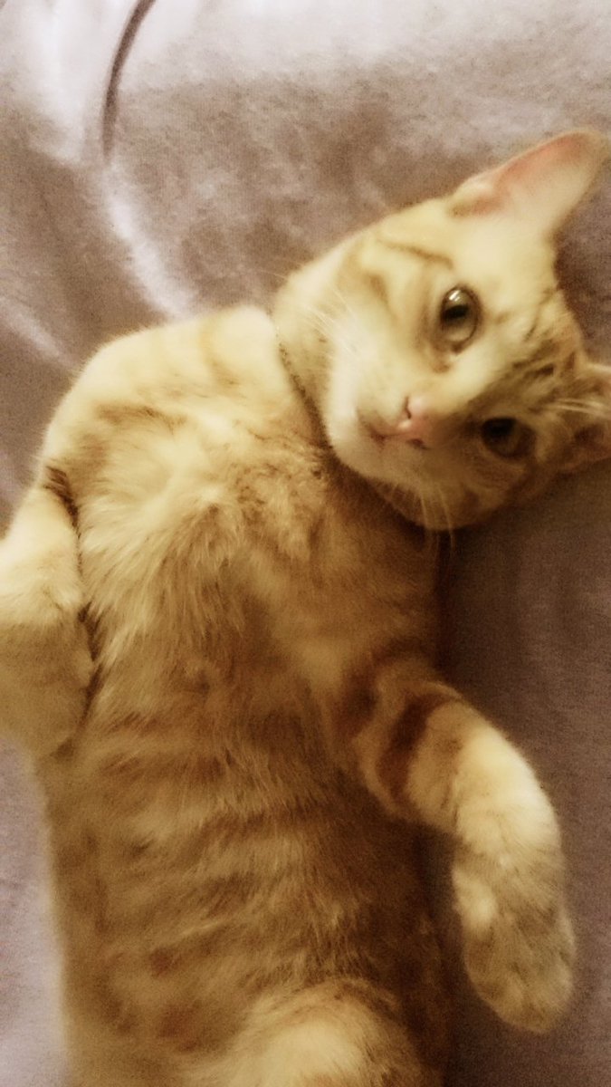 Lui è l'uomo dei mie sogni !!!