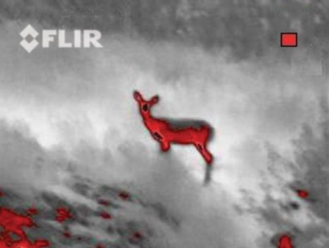 See our website for everything #infrared! Perfect for Stalking, Wildlife Observation and Search &amp; Rescue.