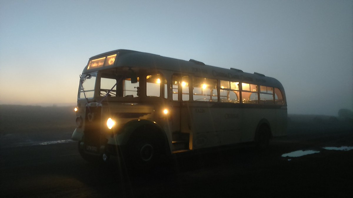 Here's our Daisy returning from Greens at Gretna last week.