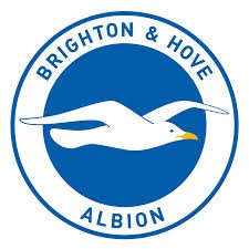 Brighton &amp; Hove are looking for Recruitment Analyst (Domestic). Full-time role. thevideoanalyst.com/jobs