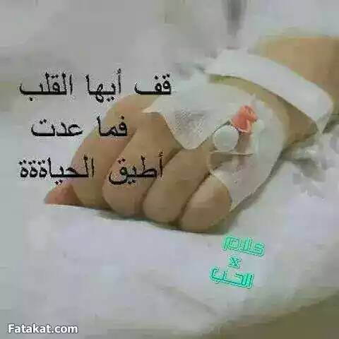 اريد ابجي ع الانبار (@dkkyx4lhi02jp1i) on Twitter photo 