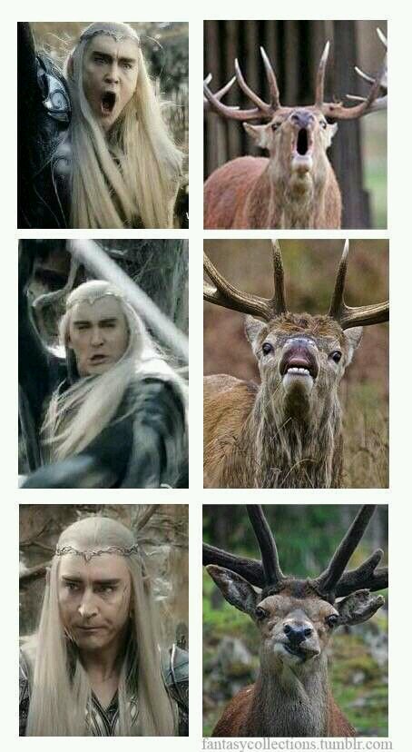 𝑺𝒊𝒈𝒓𝒊𝒅 𝒐𝒇 𝑫𝒂𝒍𝒆 (@laketownroyalty) on Twitter photo 