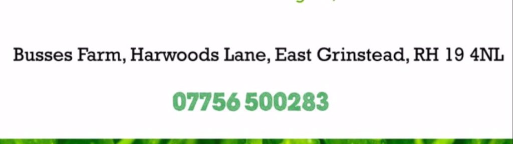 Starting tomorrow Busses Farm will be at the market with locally bred &amp; butchered meat. <a href="/beefboxes/">Busses Farm</a> #EGMarket