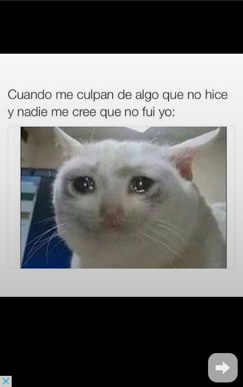 MiguelMonreal7's tweet photo. #MiercolesDeGanarSeguidores #YoPidoALaNavidad #felizmiercoles #UltimaHora #BuenMiercoles #PreguntasVos #sigueme https://t.co/fvCQscuyy1