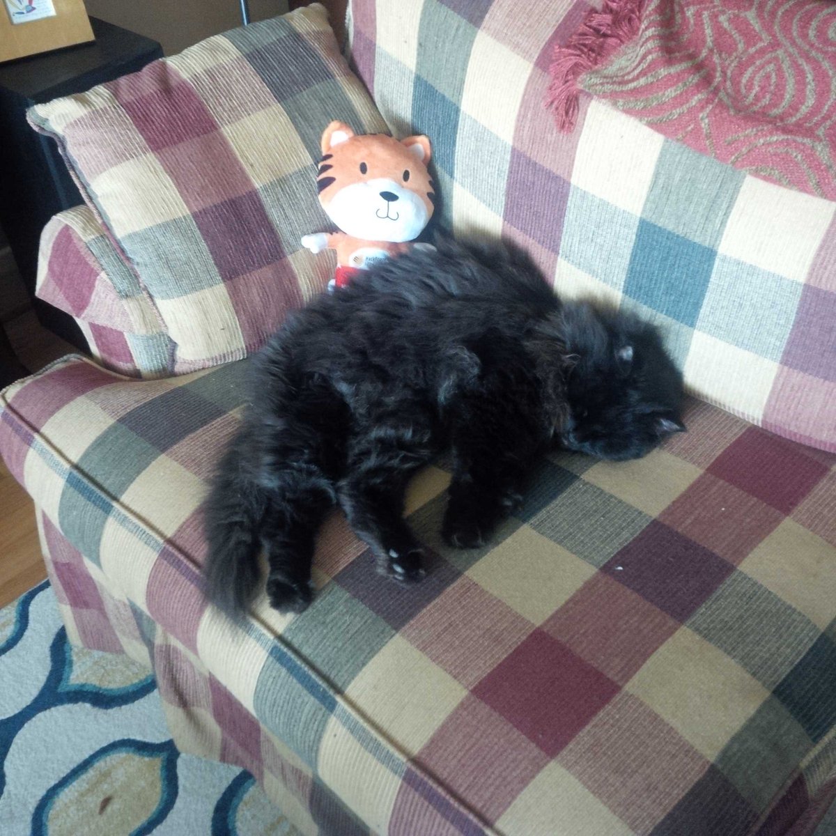 stephenamurray's tweet photo. Thanks for a great weekend @HackPrinceton! Max has a new friend. https://t.co/0iOs6DGpDw