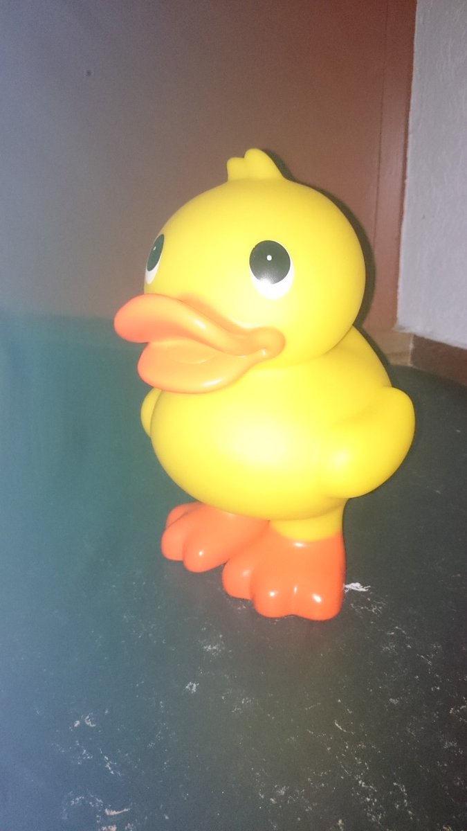 Hebben jullie onze nieuwe mascotte al gezien? Hoogzwanger en uitgeteld tijdens de #duckrace voor <a href="/SeriousRequest/">3FM Serious Request</a>!