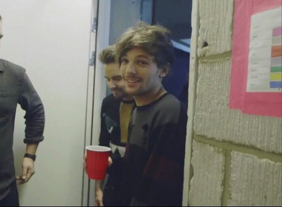 Hiiiii I'm Louis :) I'm about to be 17 and I'm a dancer ;) new here but not to RP and I'm looking for a boyfriend xx