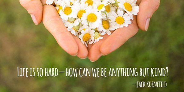 JackKornfield's tweet photo. With a loving heart as the background, all that we attempt will open and flow more easily. https://t.co/6KsxOYRaYy https://t.co/YRJ0Xw5Fy8