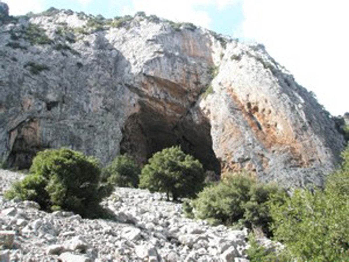 Terrabook tweet media