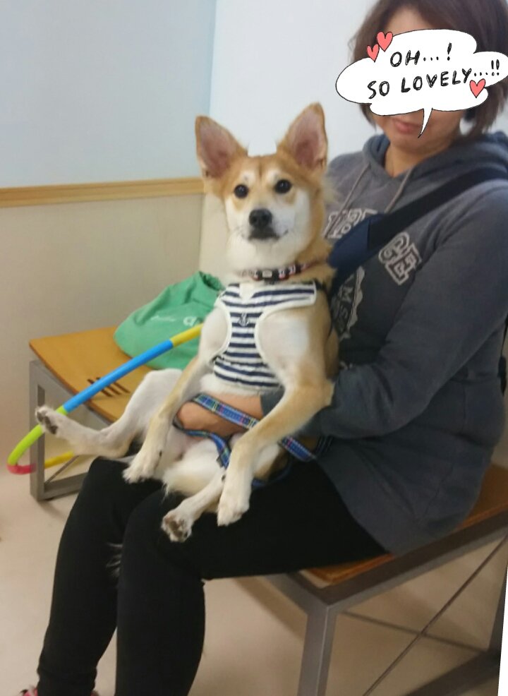 wanslink tweet picture
