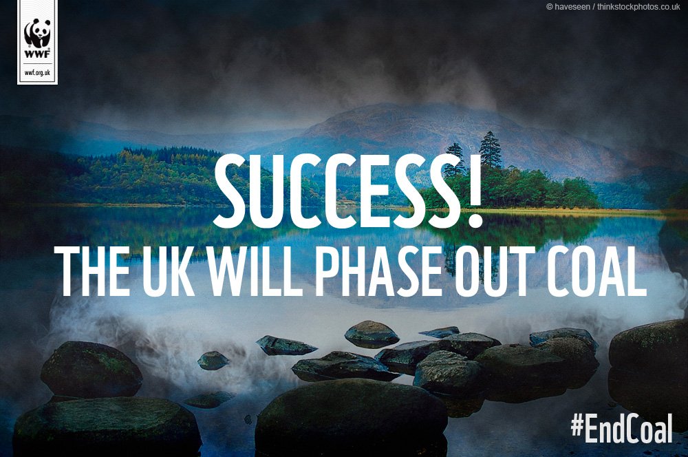 WWF UK tweet media