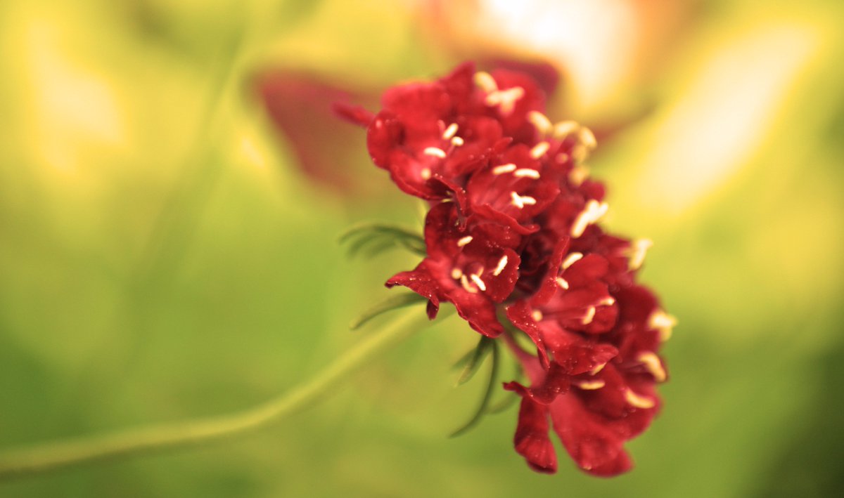Look for photographers in filmsmedia.co.uk :)