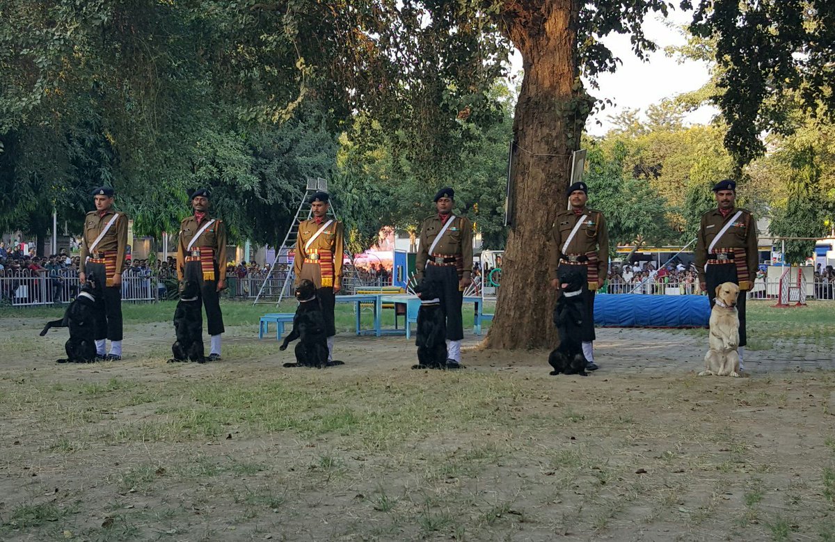 indogspot's tweet image. #Indiandogsquad demonstrating their skills at The Trade Fair! #mustwatch #armydogs #IITF #IndianArmy #dogsquad #hero