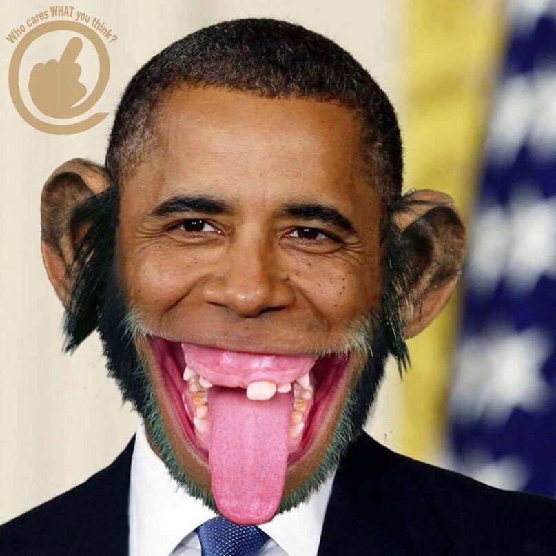 Глупый веселый. Барак Обама обезьяна. Обама черножопая обезьяна. Уши Обамы.