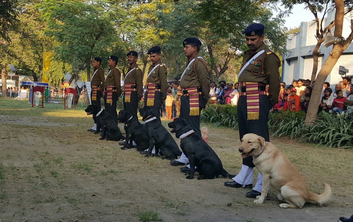 indogspot's tweet image. #Indiandogsquad demonstrating their skills at The Trade Fair! #mustwatch #armydogs #IITF #IndianArmy #dogsquad #hero
