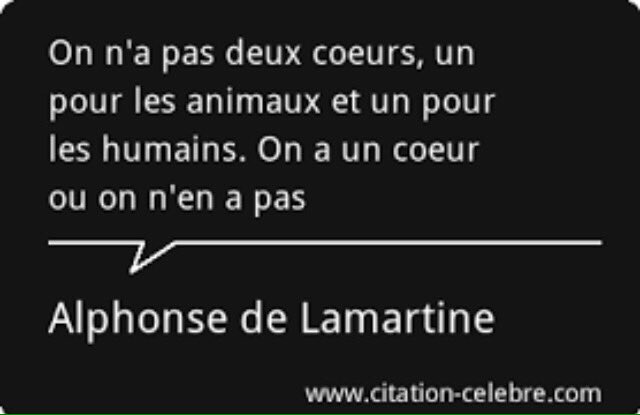 Kelly_SmLS's tweet photo. Ce HT n'est pas abusé.  #JeSuisChien https://t.co/sFCzGqPC5N